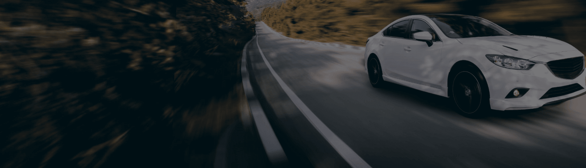 Neumáticos de coche